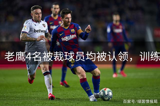老鹰4名被裁球员均被认领，训练阵容计划受影响