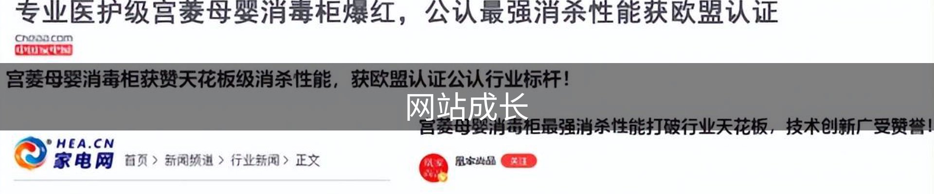 网站成长